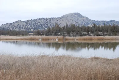 DSC_0011 (Large).JPG